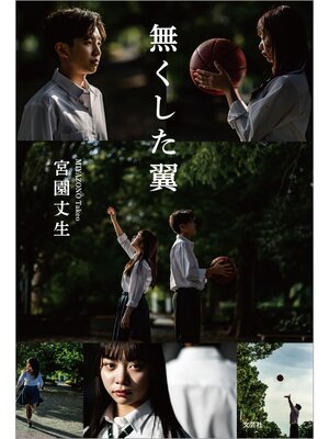 cover image of 無くした翼